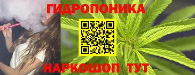 ECSTASY Заволжье